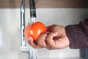 Lavado tomate con agua aspersión foto