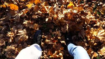 Point of view of young couple stepping together on maple leaves at forest. Male and female legs in boots going on dry foliage at autumn park. Boyfriend and girlfriend walking at wild nature. Slow mo video