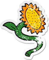 distressed sticker of a cartoon sunflower png