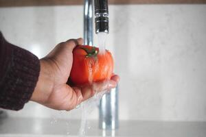 Tomato in the sink. Fresh red tomato photo