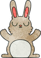 hand drawn quirky cartoon rabbit png