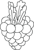 ligne dessin excentrique dessin animé bouquet de les raisins png