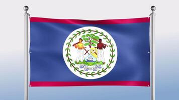 Belize Flag Hangs On The Pole On Both Sides video