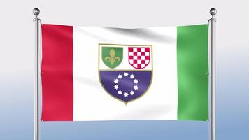 Bosnie et herzé-govina fédération de drapeau bloque sur le pôle sur tous les deux côtés video