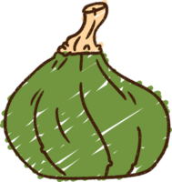 squashkritritning png