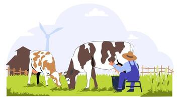 a man is milking cows in a field video