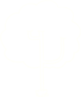 disegno del gesso dell'albero png