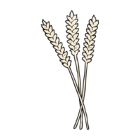 hand textured cartoon wheat png