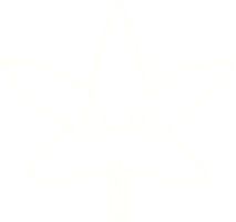 dessin à la craie de feuilles png