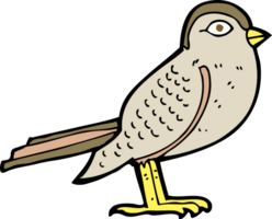 oiseau de jardin de dessin animé png