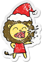 main tiré affligé autocollant dessin animé de une rugissement Lion fille portant Père Noël chapeau png