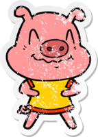 distressed sticker of a nervous cartoon pig png