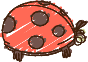 dibujo de tiza de mariquita png