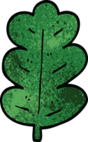 cartoon doodle oak leaf png