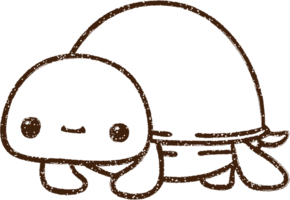 lindo dibujo de carboncillo de tortuga png