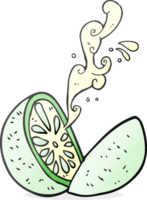 drawn cartoon melon png