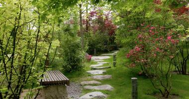 Japanese garden in Krasnodar Galitsky park. Walking in park with blossom plants video