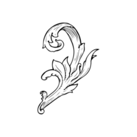 traditional hand drawn floral swirl png