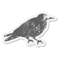 crow grunge sticker png