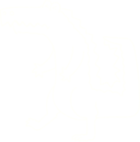 desenho de giz de crocodilo png