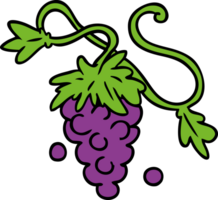 hand drawn cartoon doodle of grapes on vine png