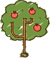 Apple Tree Chalk Drawing png