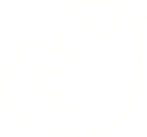 Bird Chalk Drawing png