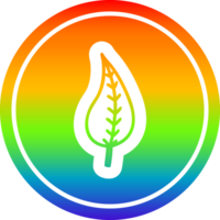 natural hoja circular icono con arco iris degradado terminar png