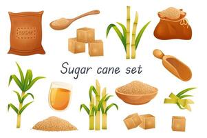 Sugar Cane Set vector