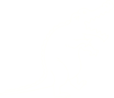 dessin à la craie de crocodile rugissant png