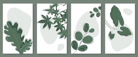 Abstract botanical wall art set. illustration in scandinavian design vector