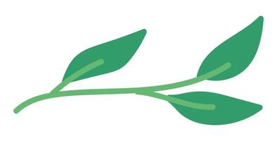 Green leaves on twig in flat design. Botanical and environmental sustainable. illustration isolated. vector