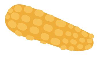 Yellow corn in flat design. Natural sweet corncob, organic vegetable. illustration isolated. vector