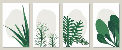 Abstract botanical wall art set. illustration in scandinavian design vector