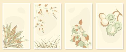 Abstract botanical wall art set. illustration in scandinavian design vector