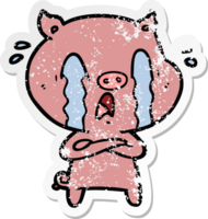 distressed sticker of a crying pig cartoon png