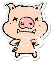 autocollant en détresse d'un cochon de dessin animé en colère png