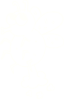 dessin brut à la craie de mouche png