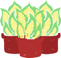 flat color illustration of house plants png