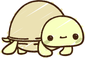 lindo dibujo de tiza de tortuga png