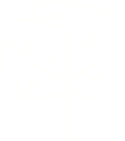 Apfelbaum Kreidezeichnung png