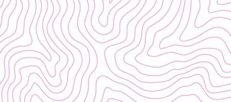 Contour background. Topographic contour background. contour lines background. Topographic map background. Abstract wavy background. vector