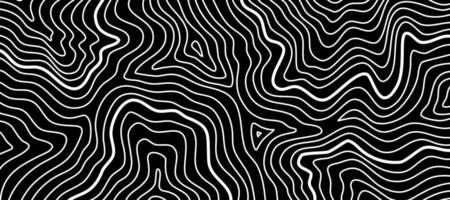 Wavy Contour background. Topographic contour background. contour lines background. Topographic map background. Abstract wavy background. vector