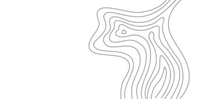 Wavy Contour background. Topographic contour background. contour lines background. Topographic map background. Abstract wavy background. vector