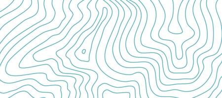 Contour background. Topographic contour background. contour lines background. Topographic map background. Abstract wavy background. vector