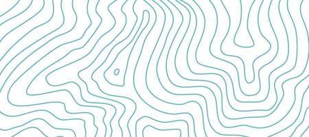 Contour background. Topographic contour background. contour lines background. Topographic map background. Abstract wavy background. vector