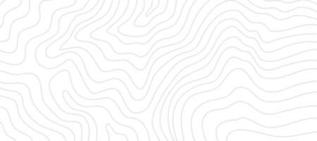 Contour background. Topographic contour background. contour lines background. Topographic map background. Abstract wavy background. vector