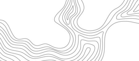 Wavy Contour background. Topographic contour background. contour lines background. Topographic map background. Abstract wavy background. vector