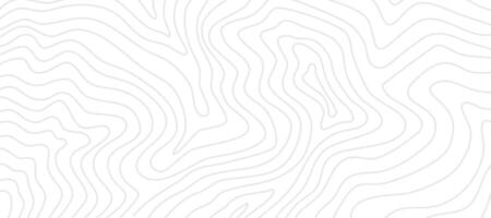 Contour background. Topographic contour background. contour lines background. Topographic map background. Abstract wavy background. vector