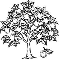 Guava tree coloring pages. Tree outline for coloring book vector